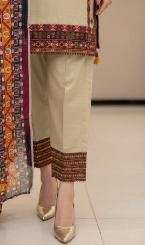 whatsapp image 2026 01 03 at 12.11.27 am (2)