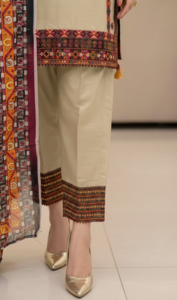 whatsapp image 2026 01 03 at 12.11.27 am (2)